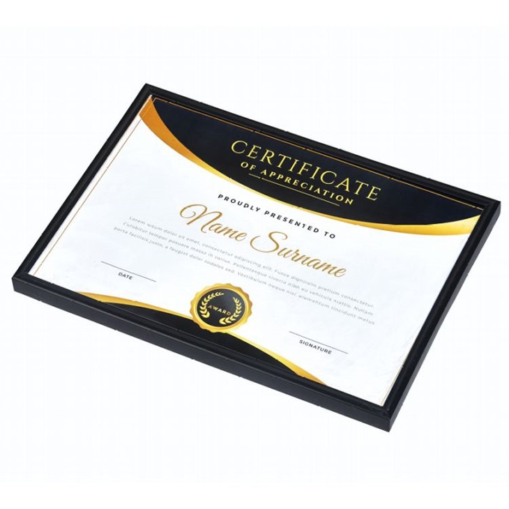 Modern Slim Black Frame Profile and Glazing